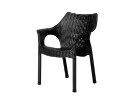 PHOENIX Plastic Rattan Chair - PF-CAMB-BL-S (Black)