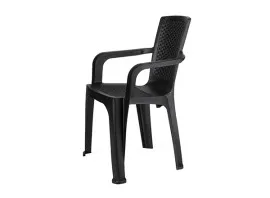 PHOENIX Rattan Lowback Plastic Chair - Black (RTN-LB-BL)
