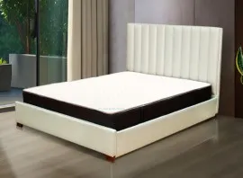 Bristol Queen Size Bed - Beige (WF-BRSTL-BDQ-BG-S)
