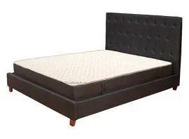 Chestor Queen Size Bed - Balck (WF-CHTR-BDQ-BL-S)