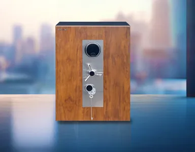 Alpha 501 Safe - Bio Matrix Lock (WFL-ALP-501-BML-S)
