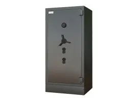 Alpha Bullion Safe Senior (WFL-ALP-BUL-SNR-S)