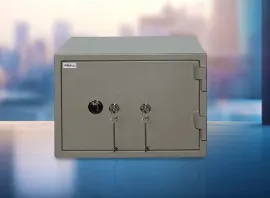 Alpha Home Safe - 2 Key Lock (ALP-HS-2KL-S)