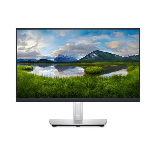 Dell 22" Professional Monitor - P2222H