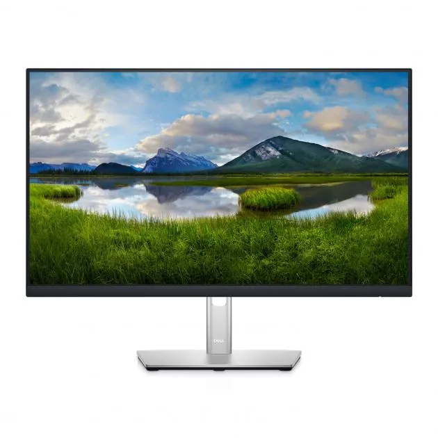 Dell 24" Professional Monitor - P2422H