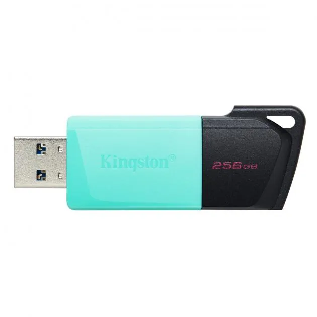 Kingston USB 3.2 Gen 1 DataTraveler Exodia M Flash Drive 256GB