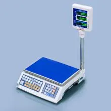 Budry Electronic Scale BES-WP15T - With pole Thumbnail 3