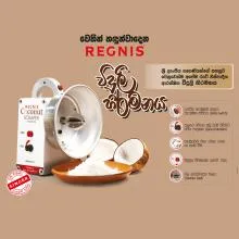 Regnis Electric Coconut Scraper Thumbnail 2