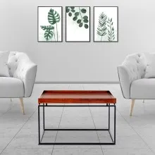 Enchant Center Table - Kumbuk Color (WFL-CTS003-CT-NW-S)