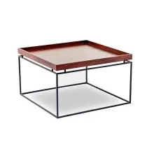 Enchant Center Table - Kumbuk Color (WFL-CTS003-CT-NW-S) Thumbnail 2